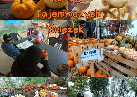 Jesienna wycieczka do Rancza Tajemniczych Ścieżek
